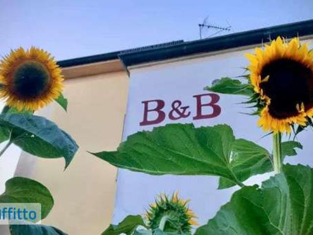 Bilocale arredato Vasto