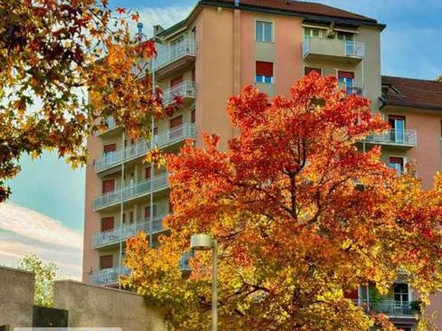 Bilocale arredato Barona, giambellino, lorenteggio, famagosta, inganni