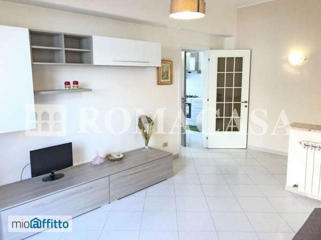Bilocale arredato Boccea, torrevecchia, pineta sacchetti, selva candida, ottavia