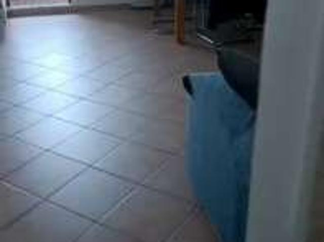 Bilocale arredato Campitello