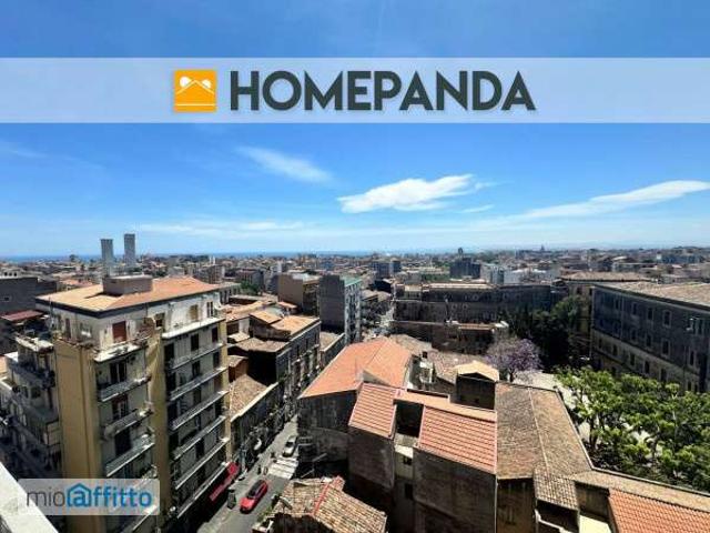 Bilocale arredato Catania