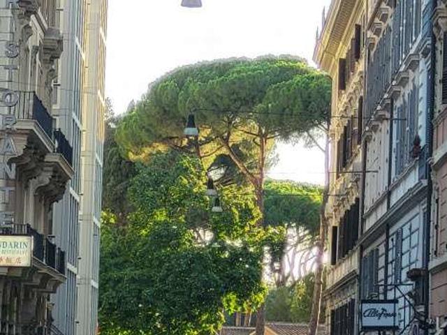 Bilocale arredato Centro storico