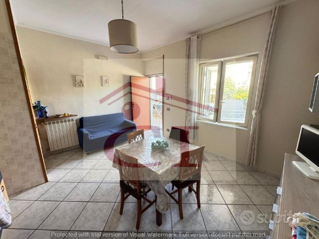 Bilocale arredato con terrazzo cod. 521