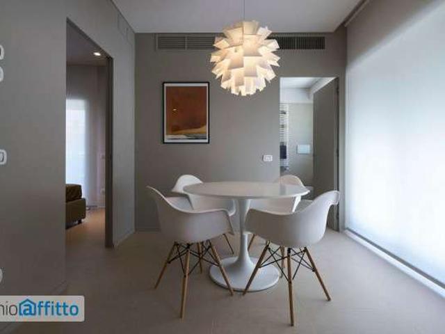 Bilocale arredato con terrazzo Campo di marte