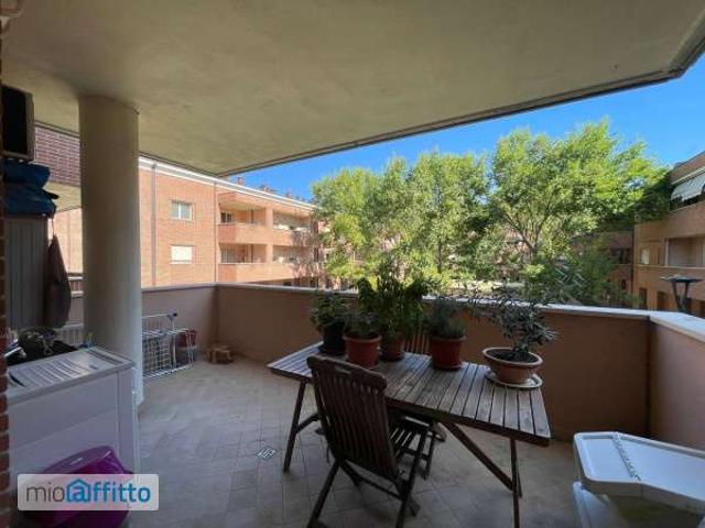 Bilocale arredato con terrazzo Campo di marte