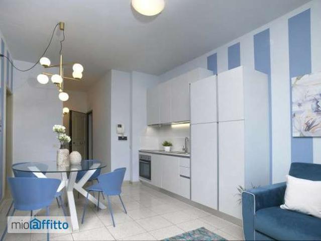 Bilocale arredato con terrazzo Campo di marte