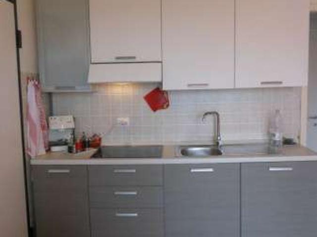 Bilocale arredato con terrazzo Castagneto Carducci