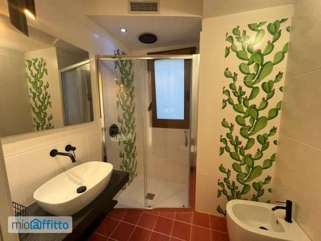 Bilocale arredato con terrazzo Centro