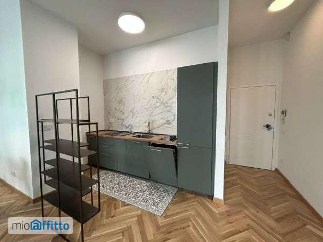 Bilocale arredato con terrazzo Centro