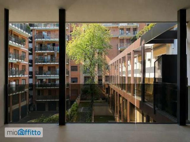 Bilocale arredato con terrazzo Crocetta