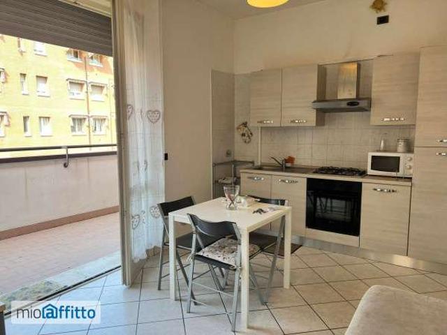 Bilocale arredato con terrazzo Bolognina