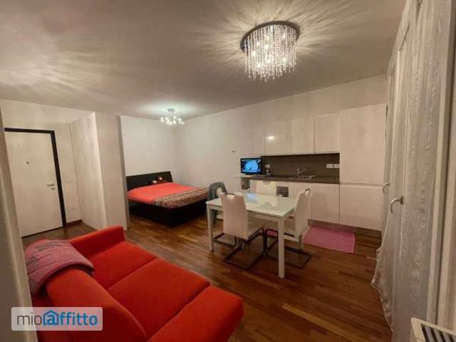 Bilocale arredato con terrazzo Bolognina