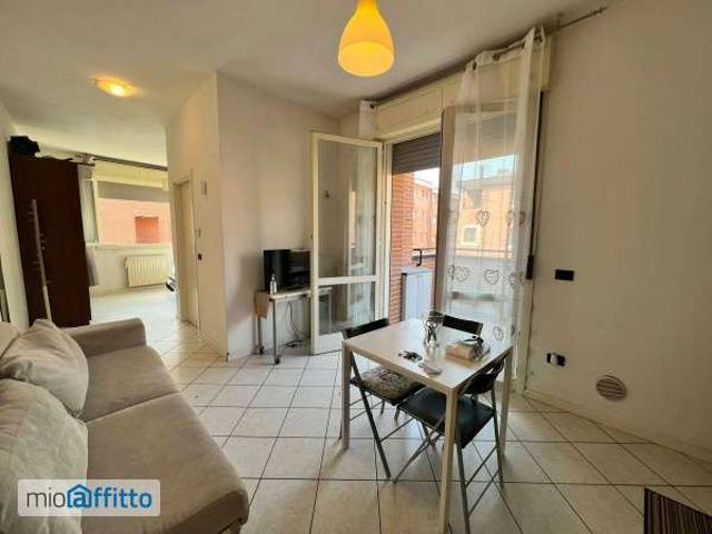 Bilocale arredato con terrazzo Bolognina