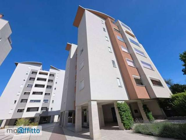 Bilocale arredato con terrazzo Borgo panigale