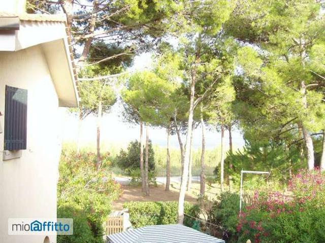 Bilocale arredato con terrazzo Giannella