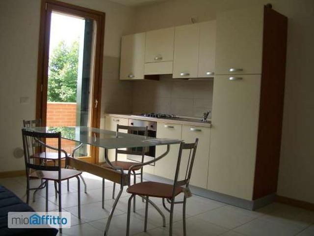 Bilocale arredato con terrazzo Fiesso d'Artico