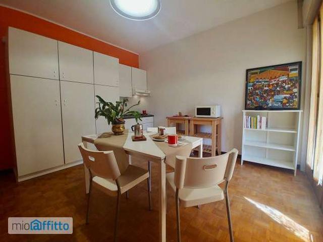 Bilocale arredato con terrazzo Mirano paese