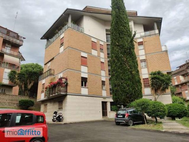 Bilocale arredato con terrazzo Nuovo salario, prati fiscali, monte sacro, talenti, vigne nuove, serpentara