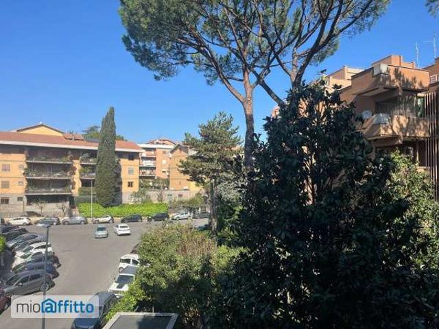 Bilocale arredato con terrazzo Nuovo salario, prati fiscali, monte sacro, talenti, vigne nuove, serpentara