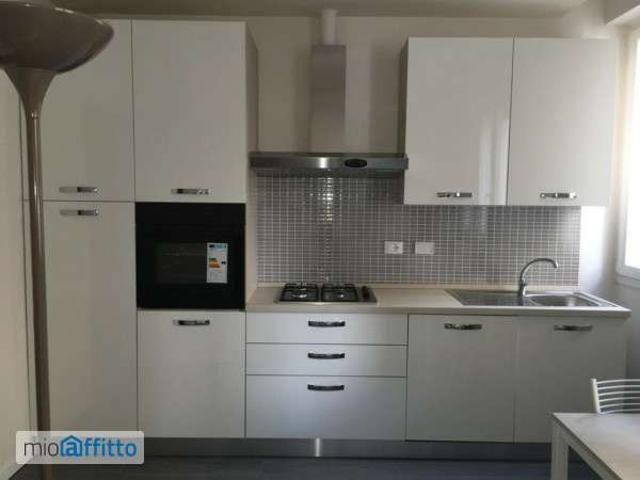 Bilocale arredato con terrazzo San donato