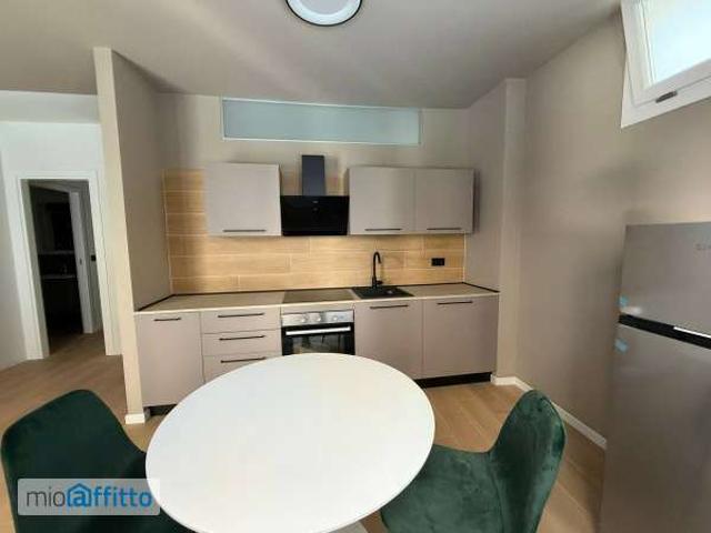 Bilocale arredato con terrazzo Parella