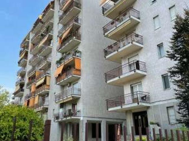 Bilocale arredato con terrazzo Parella