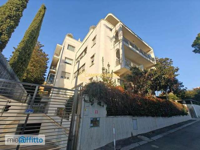 Bilocale arredato con terrazzo Parioli, pinciano