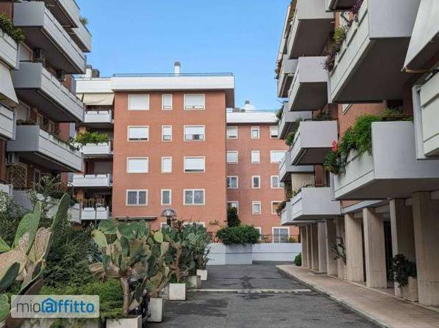Bilocale arredato con terrazzo Pisana, bravetta, casetta mattei