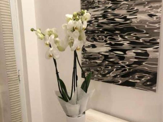Bilocale arredato con terrazzo Rapallo