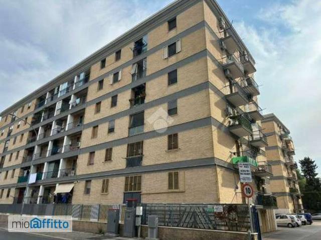 Bilocale arredato Foggia
