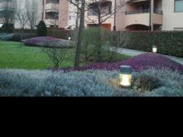 Bilocale arredato Legnano