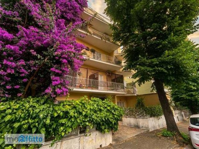 Bilocale arredato Nuovo salario, prati fiscali, monte sacro, talenti, vigne nuove, serpentara