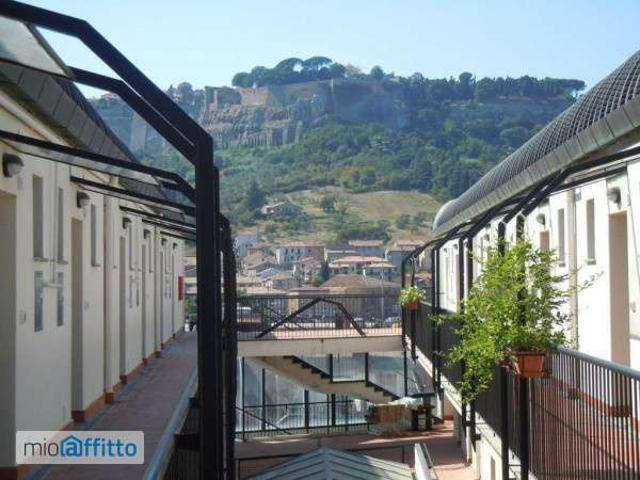 Bilocale arredato Orvieto scalo