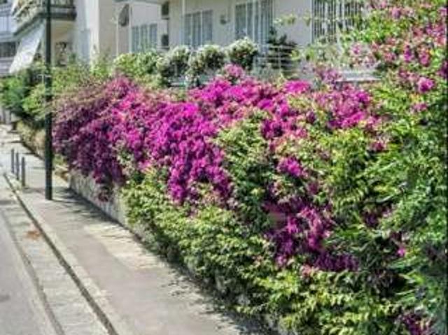 Bilocale arredato Posillipo