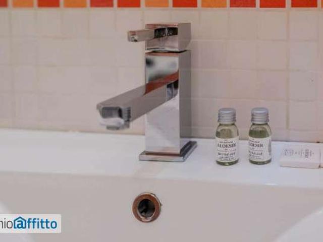 Bilocale arredato San salvario