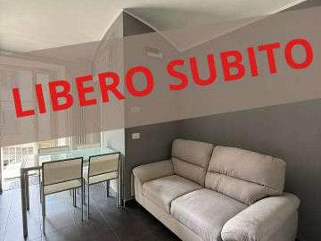 Bilocale arredato San salvario