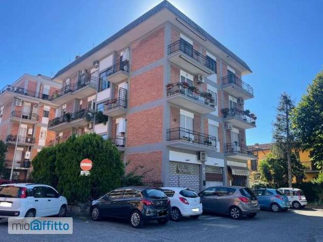 Bilocale arredato Settebagni, salaria