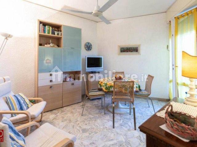 Bilocale buono stato, primo piano, Lido di Camaiore, Camaiore