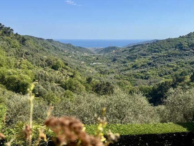 Bilocale in vendita a Diano Arentino
