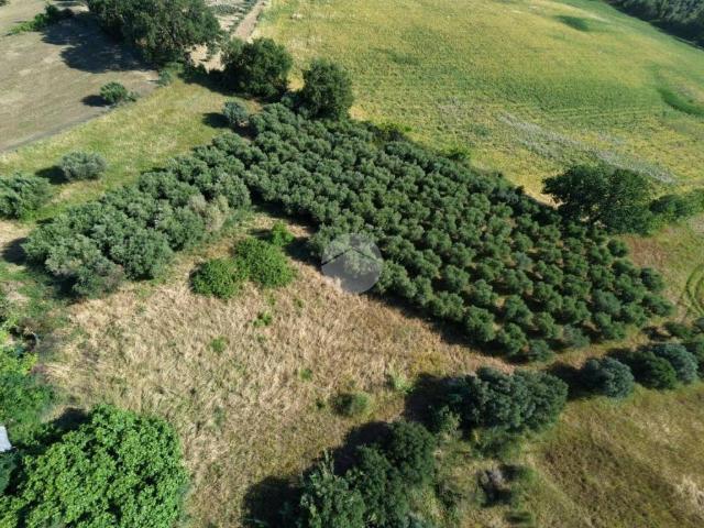 Bilocale in vendita a Montepagano, Roseto degli Abruzzi