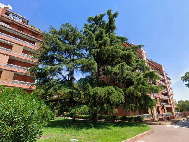 Bilocale in vendita a Segrate, Milano Due