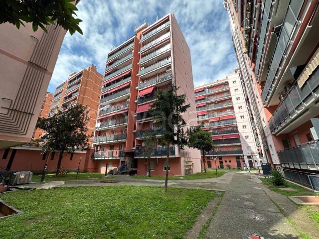 Bilocale in vendita a Pioltello via Cilea, 4