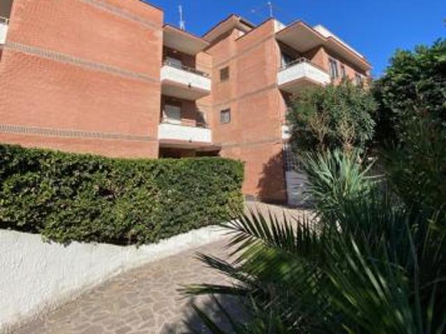 Bilocale in affitto a Anzio