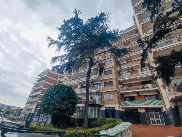 Bilocale in affitto a Napoli, case in affitto Napoli