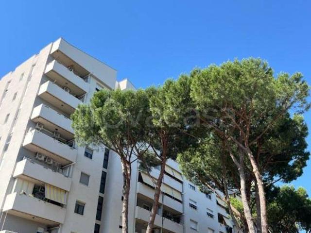 Bilocale in affitto a Roma via Piero Caleffi, Colli Aniene