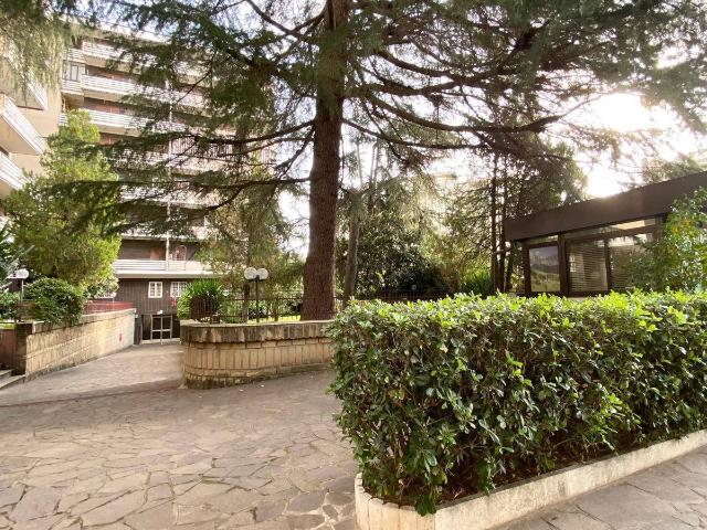 Bilocale in affitto a Roma, case in affitto Roma