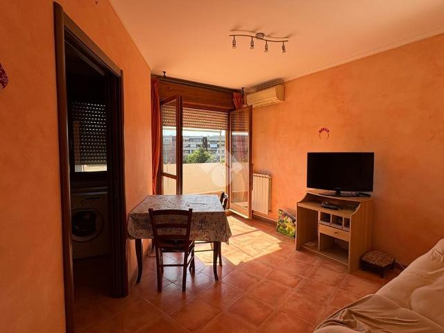 Bilocale in affitto