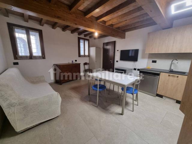 Bilocale ottimo stato, piano terra, Centro, Castelvetro di Modena
