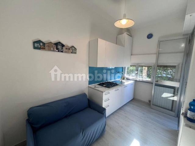 Bilocale ottimo stato, piano terra, Lido di Camaiore, Camaiore