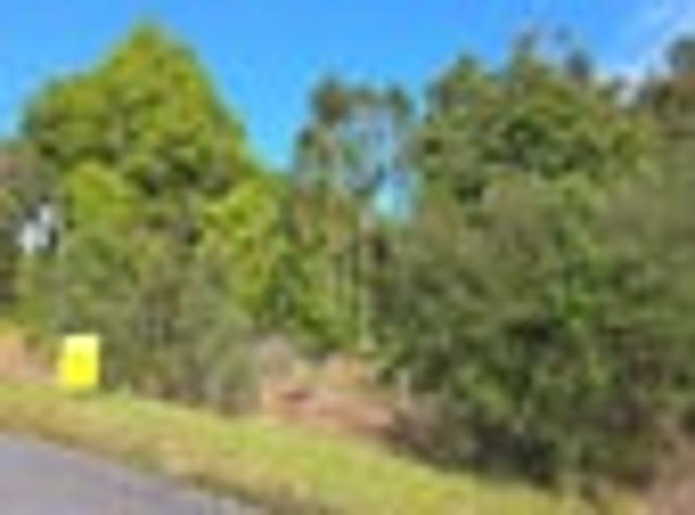 Birdsong, Bush & Beauty Lifestyle Opportunity